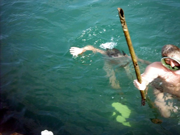 Нептун 2003